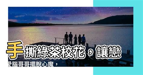 江念 江衡 周寂|瞬间时空免费阅读 江念江衡周寂在线阅读